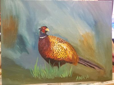 Pheasant
