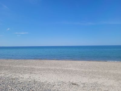 The Beach
May 11-13, Capecod Beach
