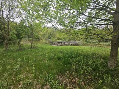 Mill Hollow, Vermillion, OH -  Ma 6th, 2025
Keywords: parks, hollow, Ohio