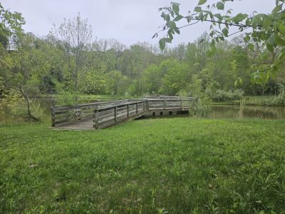 Mill Hollow, Vermillion, OH -  Ma 6th, 2025
Keywords: parks, hollow, Ohio