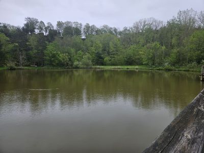 Mill Hollow, Vermillion, OH -  Ma 6th, 2025
Keywords: parks, hollow, Ohio