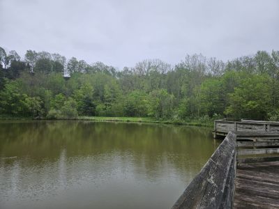 Mill Hollow, Vermillion, OH -  Ma 6th, 2025
Keywords: parks, hollow, Ohio