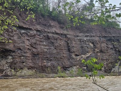Mill Hollow, Vermillion, OH -  Ma 6th, 2025
Keywords: parks, hollow, Ohio