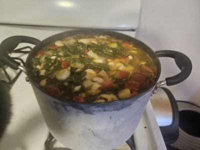 Boiling soup!
Jun 7th, 2025  - Corsican Soup 
Keywords: soup