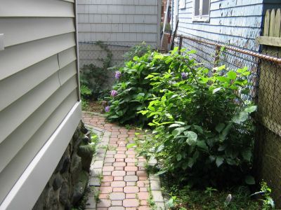 Back of the Garden
Some bushes and shrubs mostly.
Lynn MA apartment 2006-2008
